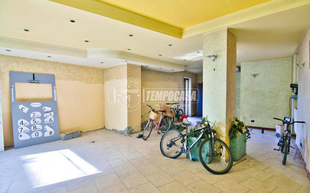 immagine annuncio 5 di 15