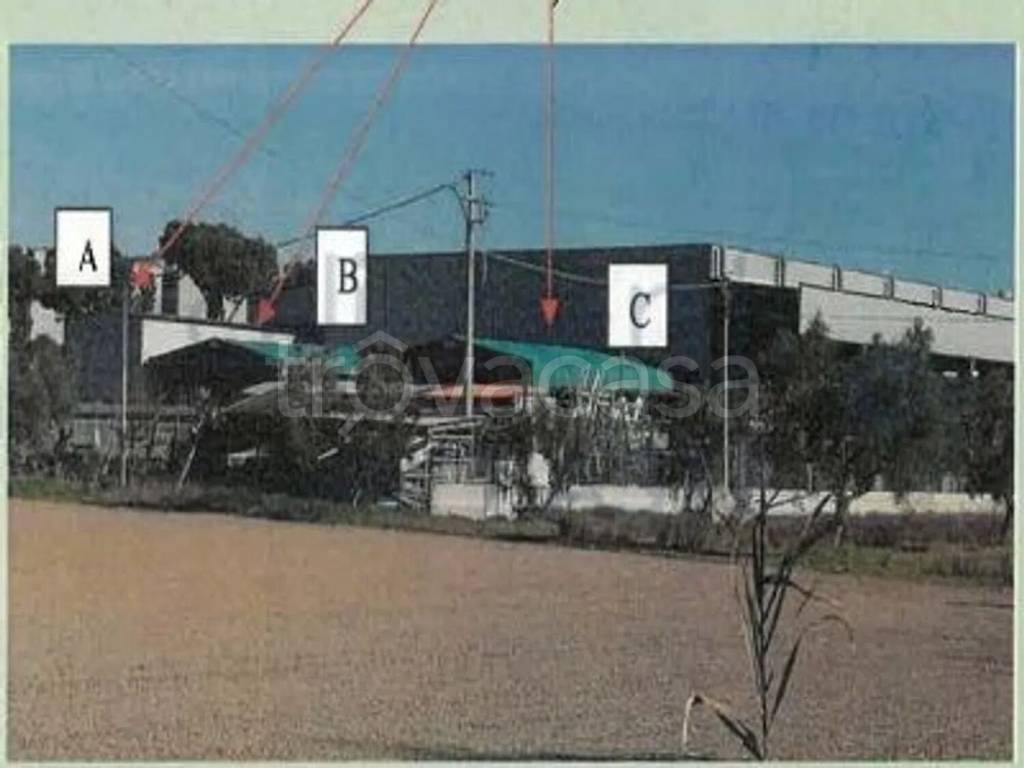 immagine annuncio 1 di 2