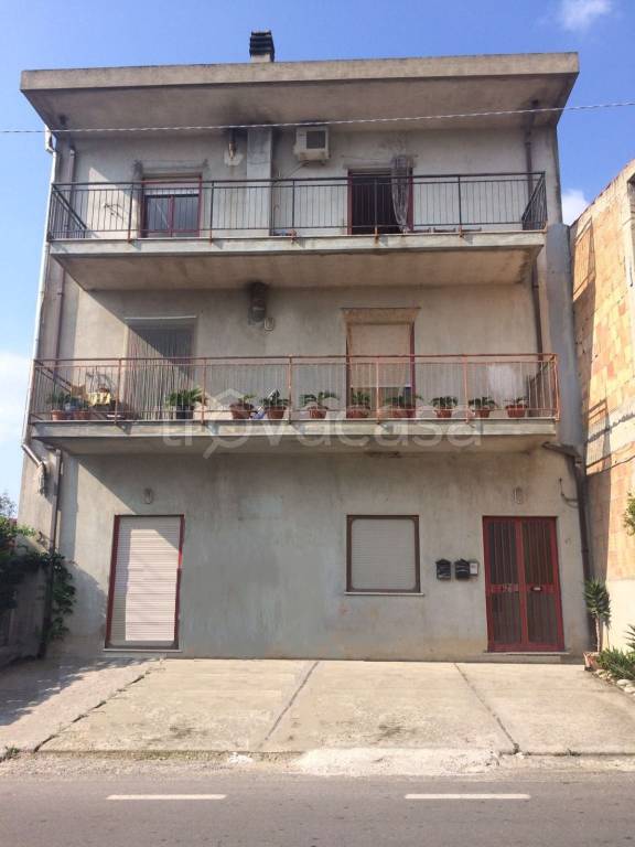 immagine annuncio 6 di 14