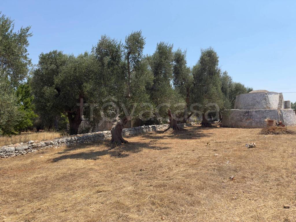 immagine annuncio 4 di 9