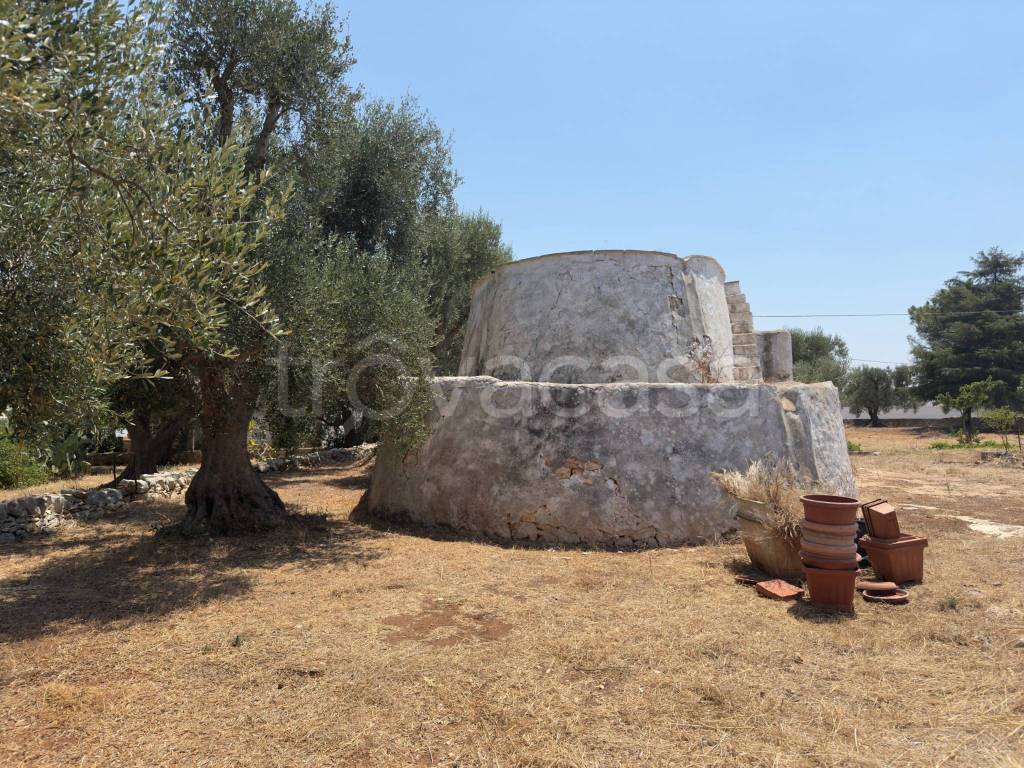 immagine annuncio 5 di 9