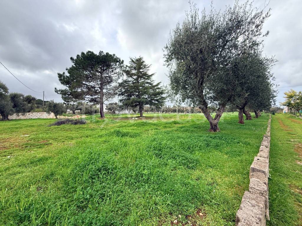 immagine annuncio 7 di 9