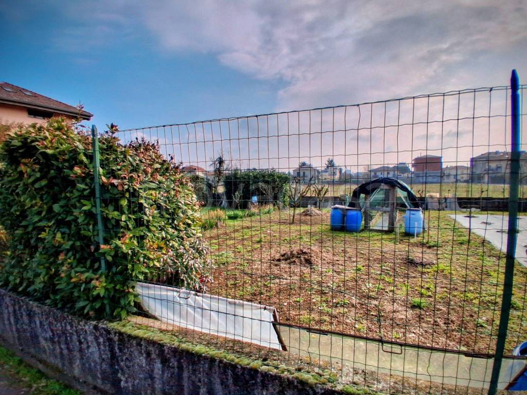 immagine annuncio 5 di 12