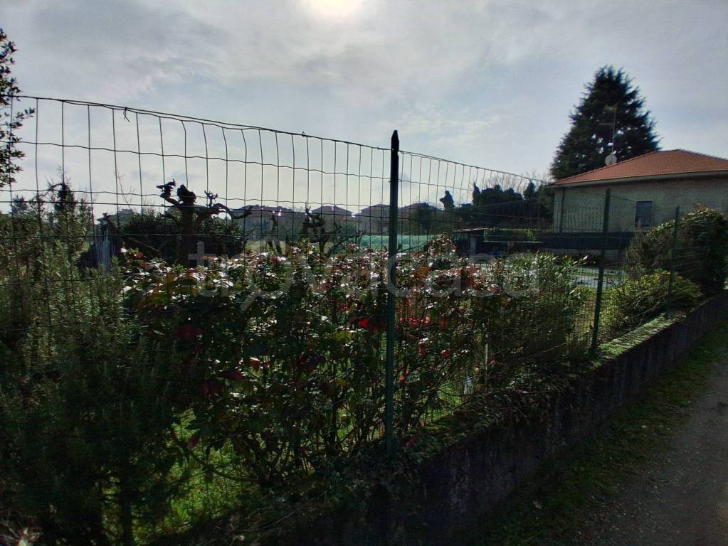 immagine annuncio 7 di 12