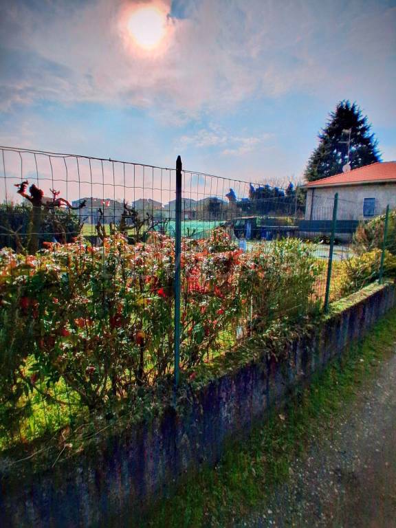 immagine annuncio 8 di 12