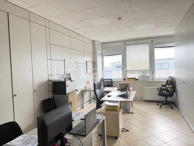 immagine annuncio 4 di 13