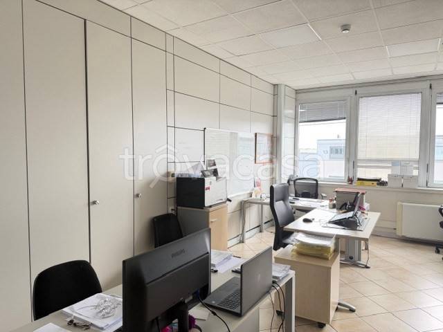 immagine annuncio 7 di 13