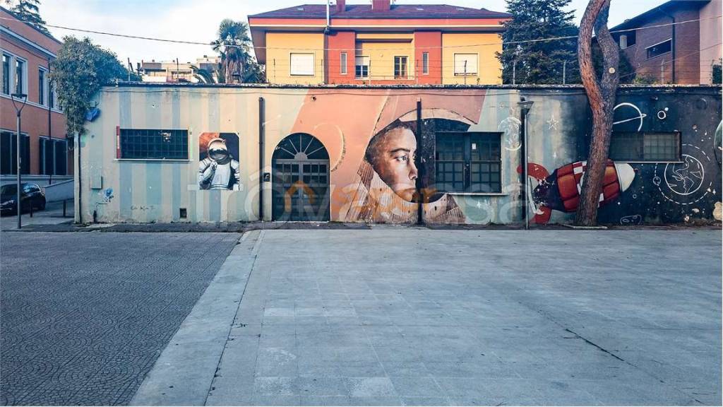 immagine annuncio 1 di 14