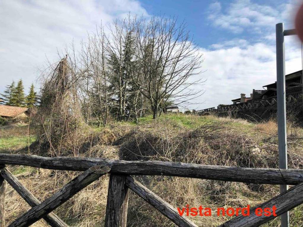 immagine annuncio 4 di 11