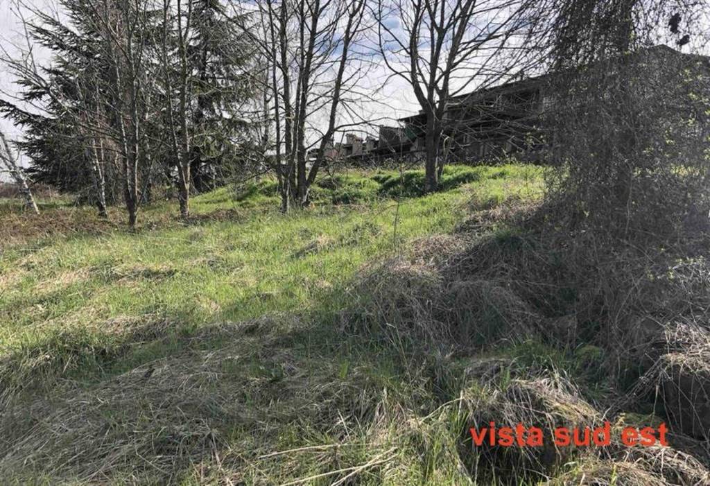 immagine annuncio 8 di 11