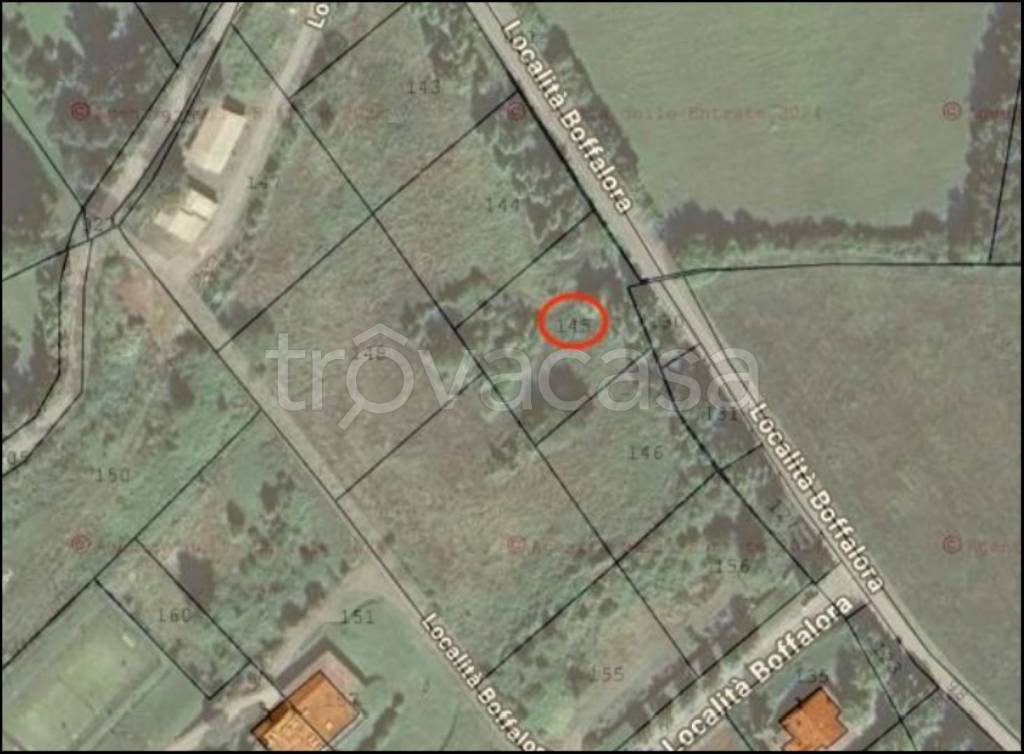 immagine annuncio 11 di 12