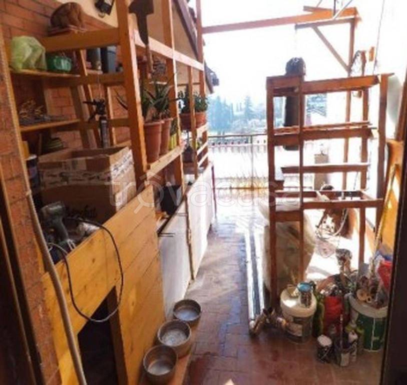 immagine annuncio 9 di 14