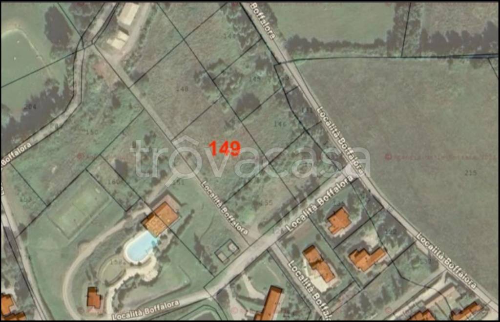 immagine annuncio 11 di 12