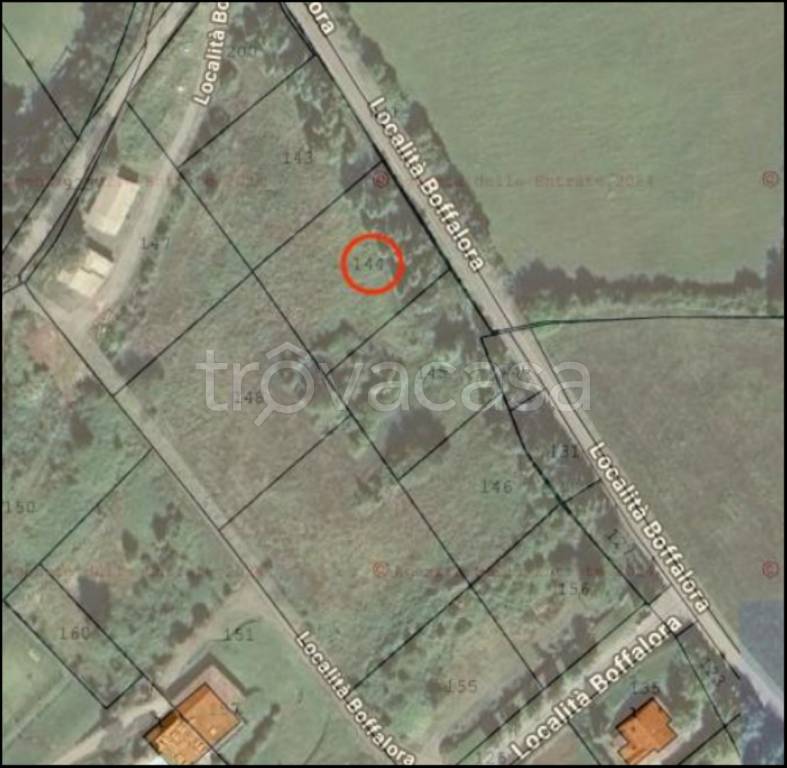 immagine annuncio 11 di 12