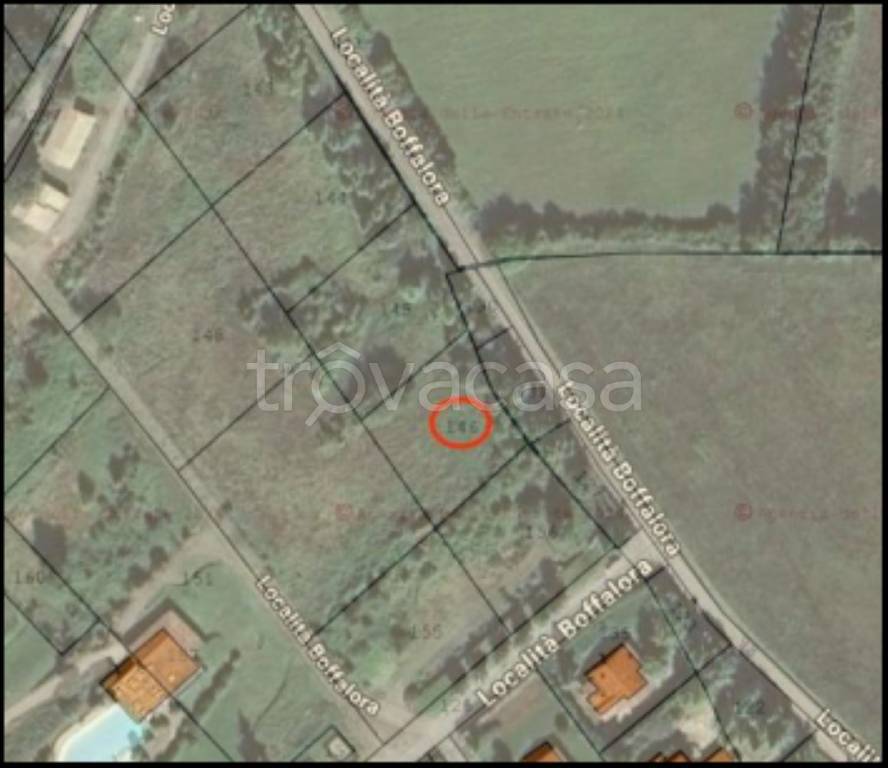 immagine annuncio 11 di 12