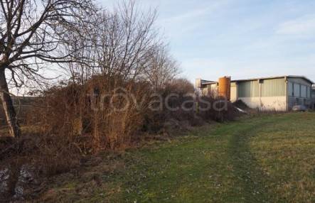 immagine annuncio 4 di 14