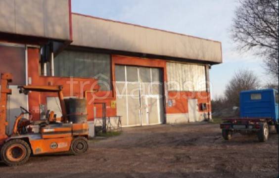 immagine annuncio 6 di 14