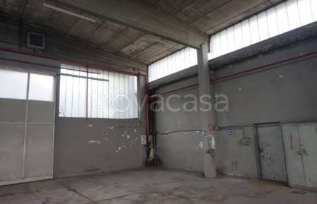 immagine annuncio 9 di 14