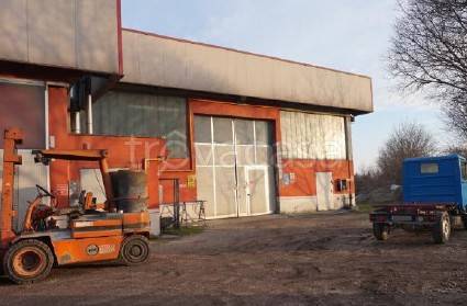 immagine annuncio 10 di 14