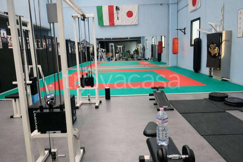 immagine annuncio 6 di 10