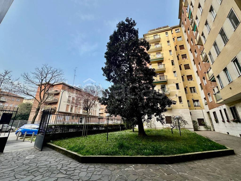 immagine annuncio 3 di 9