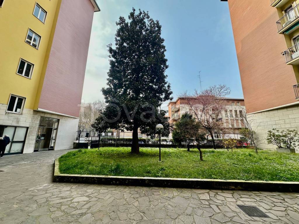 immagine annuncio 7 di 9