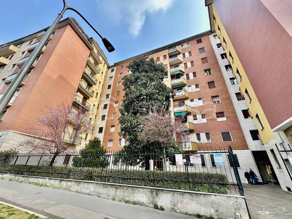 immagine annuncio 2 di 9