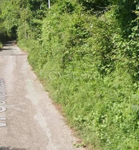 immagine annuncio 3 di 13