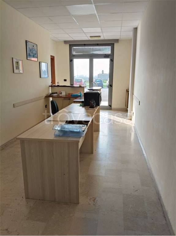 immagine annuncio 7 di 11