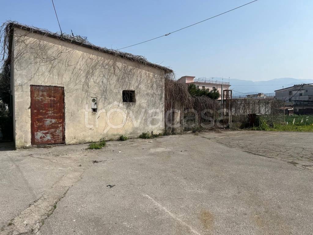 immagine annuncio 4 di 8