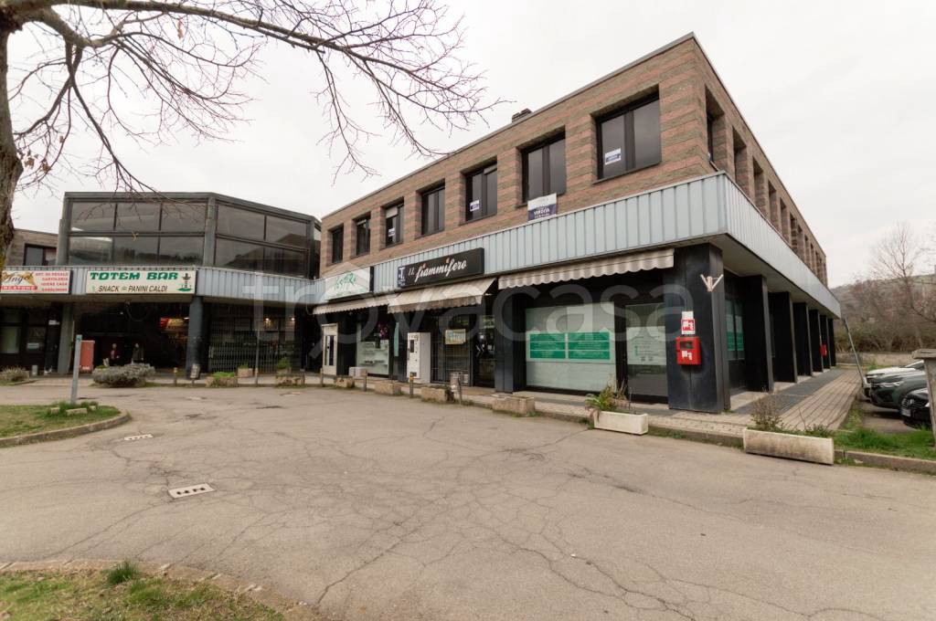 immagine annuncio 3 di 9