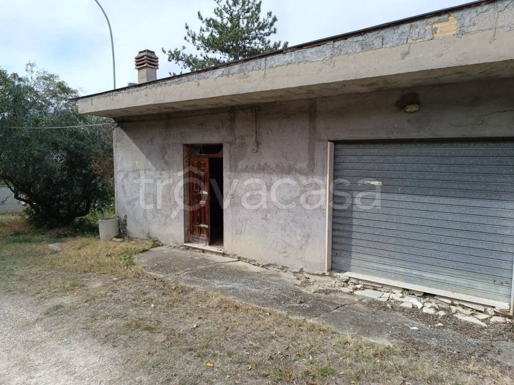 immagine annuncio 1 di 7