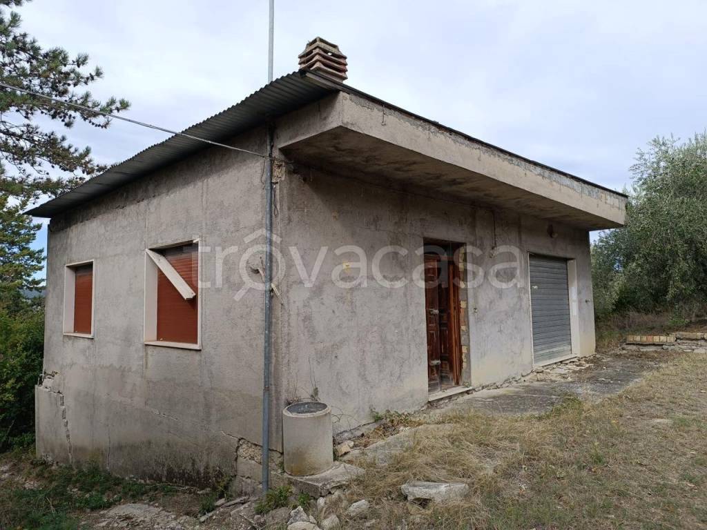 immagine annuncio 5 di 7