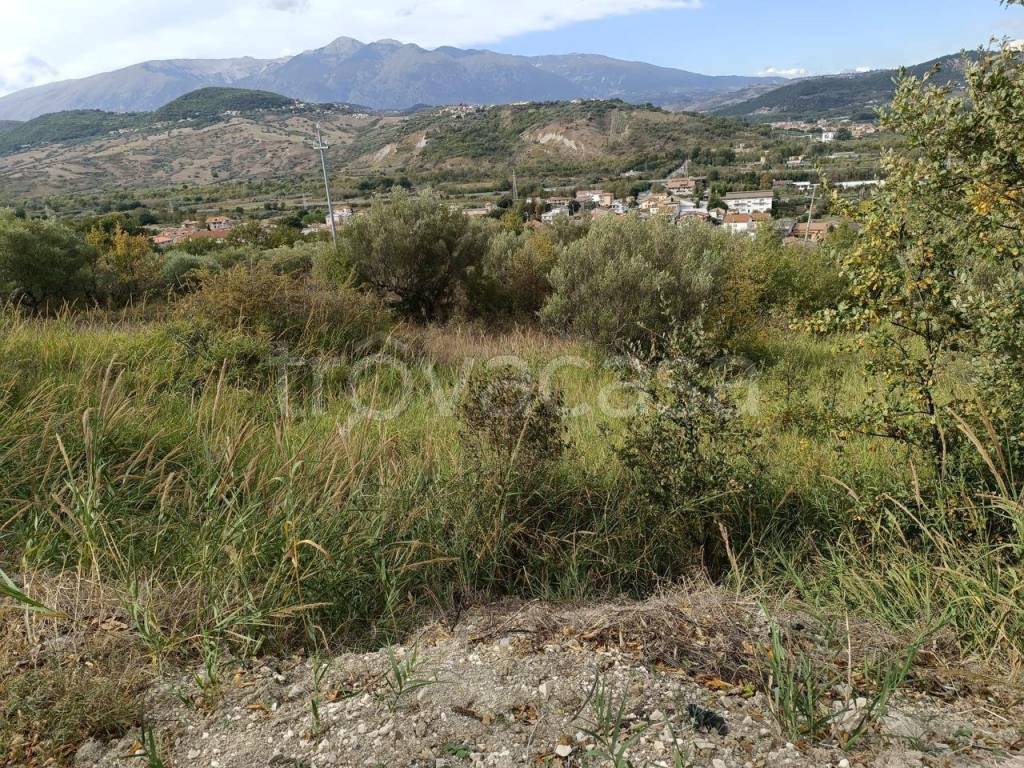 immagine annuncio 2 di 7