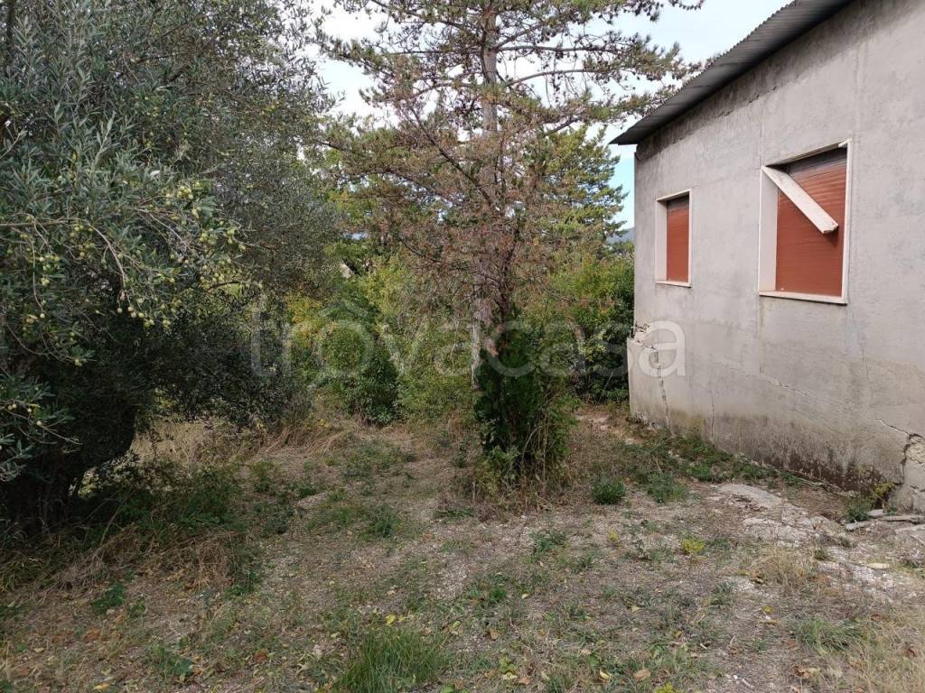 immagine annuncio 6 di 7