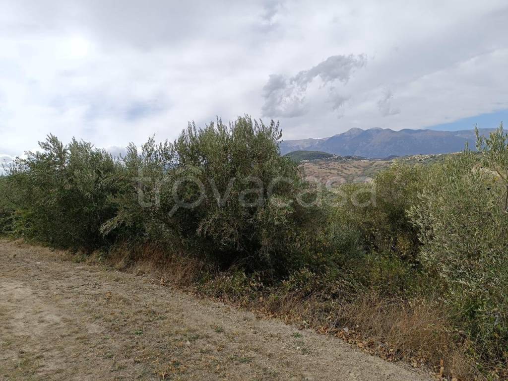 immagine annuncio 4 di 7