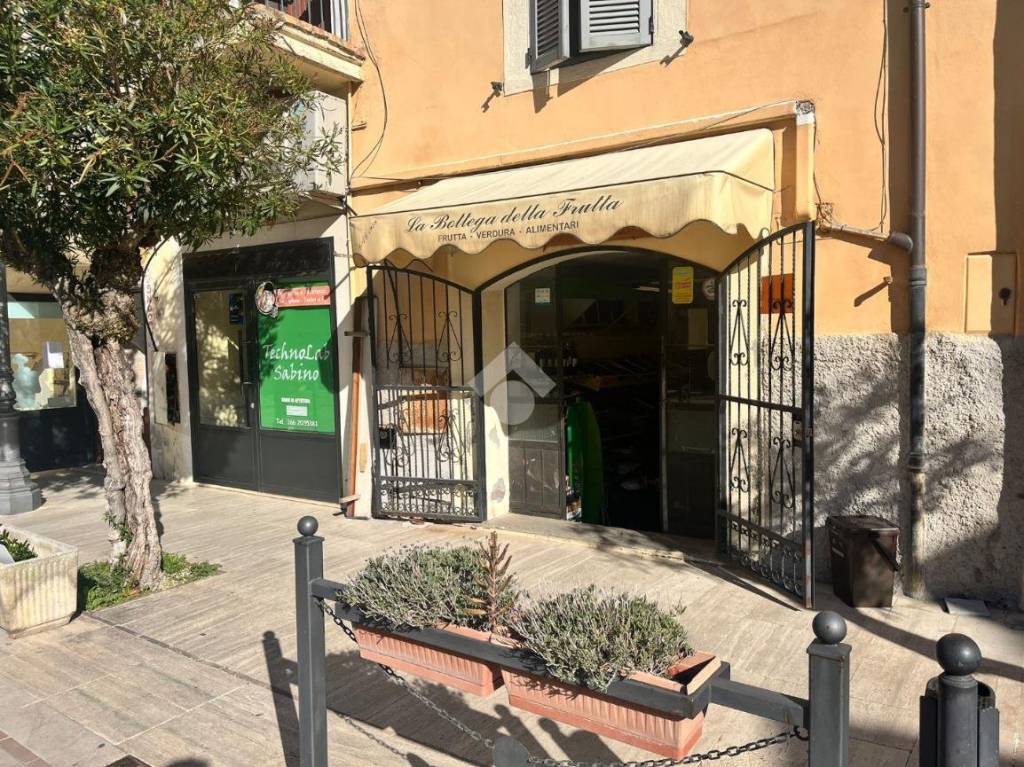 immagine annuncio 10 di 11