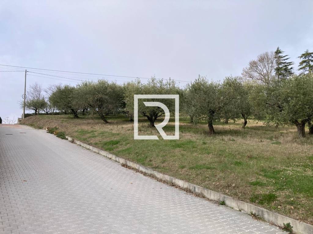 immagine annuncio 5 di 11