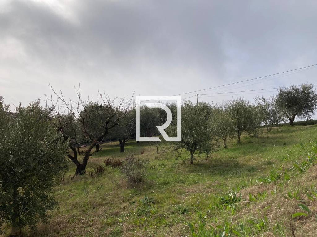 immagine annuncio 6 di 11