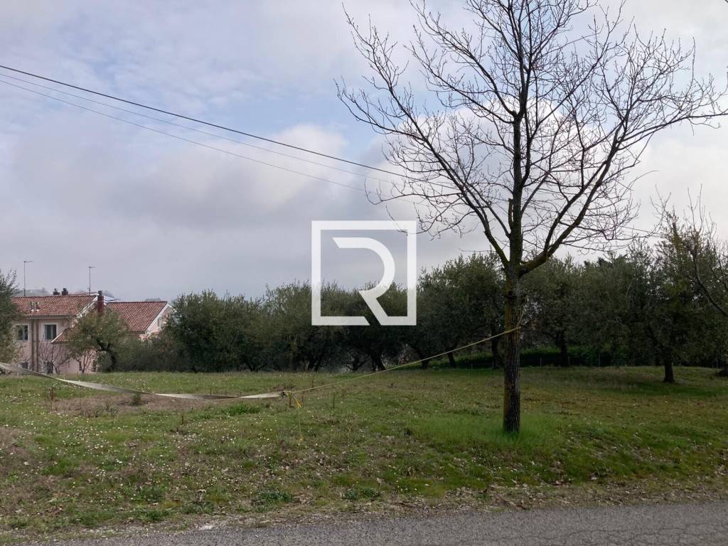 immagine annuncio 8 di 11