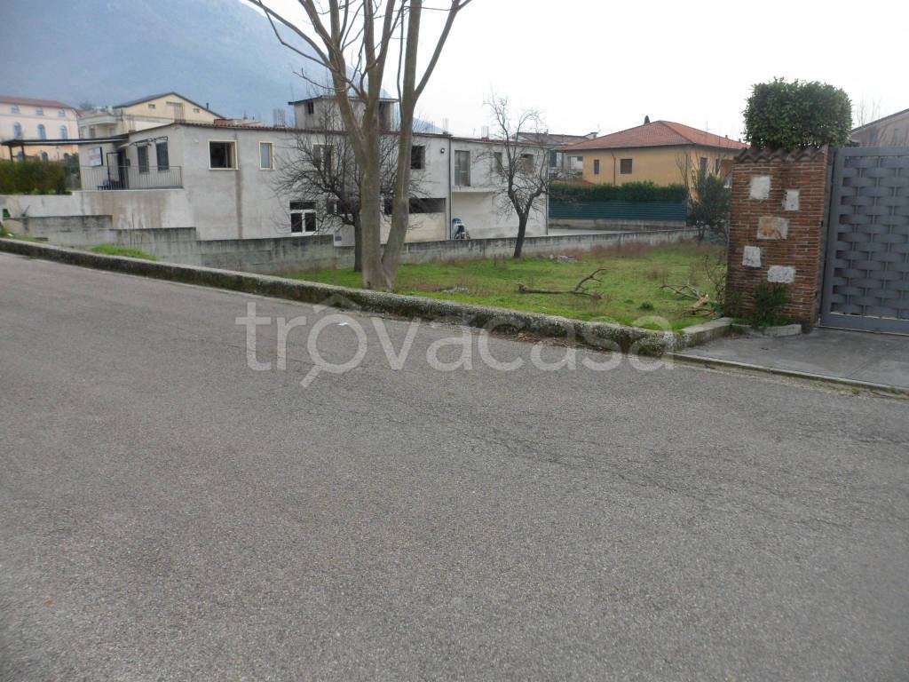 immagine annuncio 3 di 13