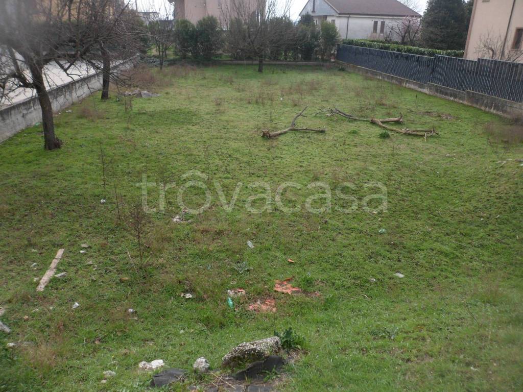 immagine annuncio 4 di 13