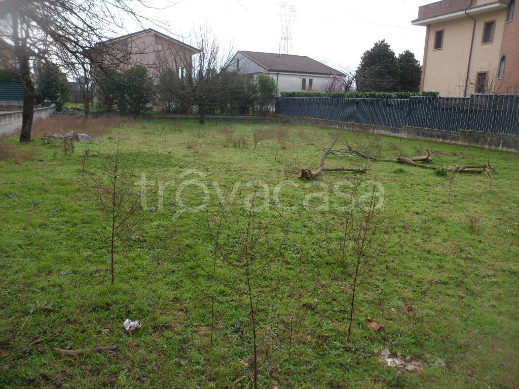 immagine annuncio 5 di 13