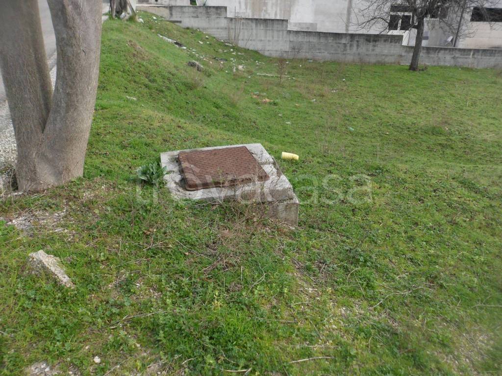 immagine annuncio 6 di 13