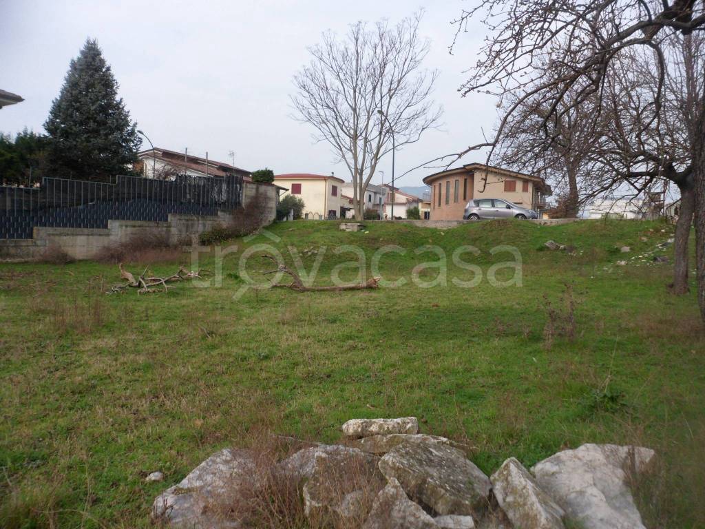 immagine annuncio 7 di 13