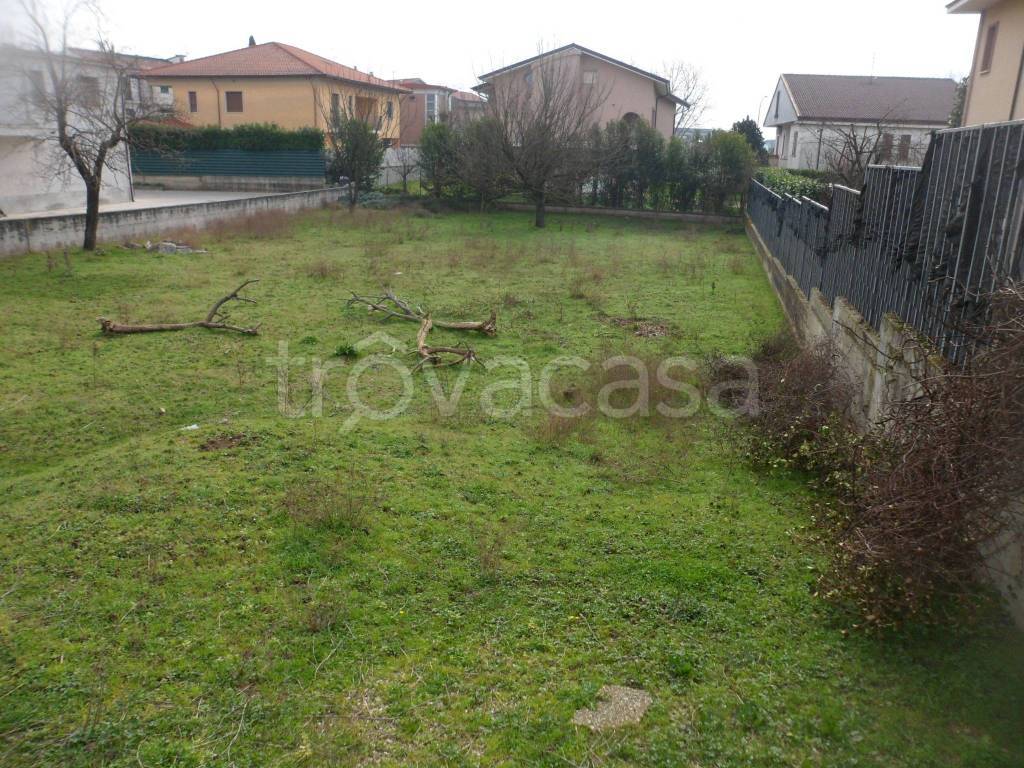 immagine annuncio 8 di 13