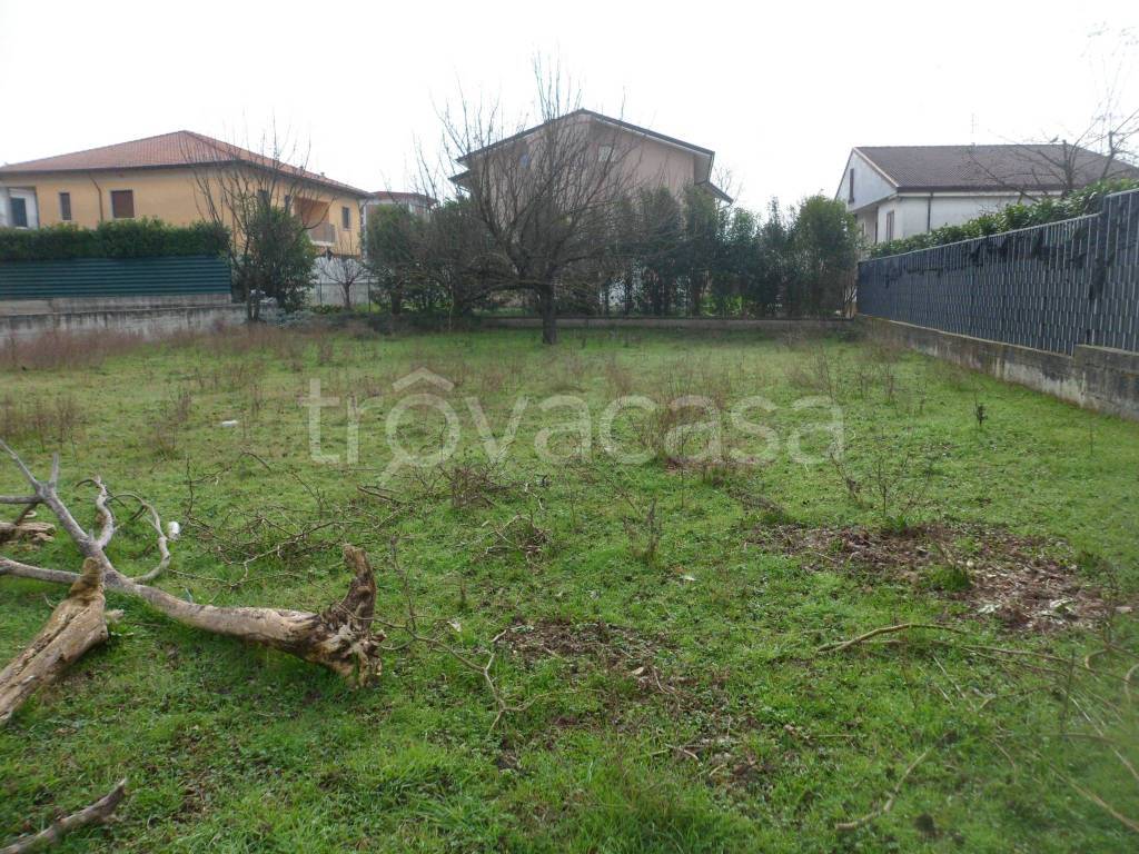 immagine annuncio 9 di 13