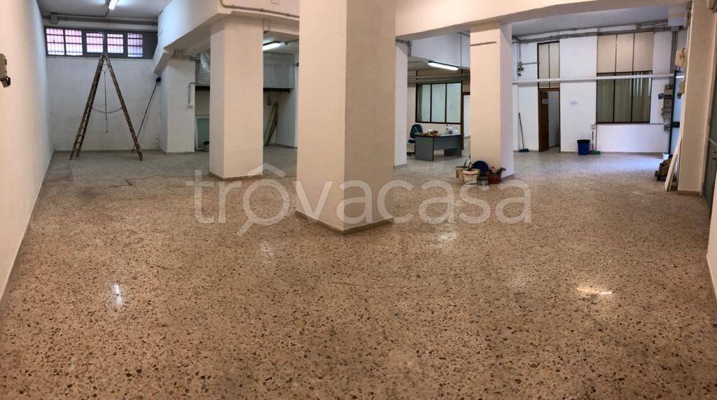 immagine annuncio 10 di 14