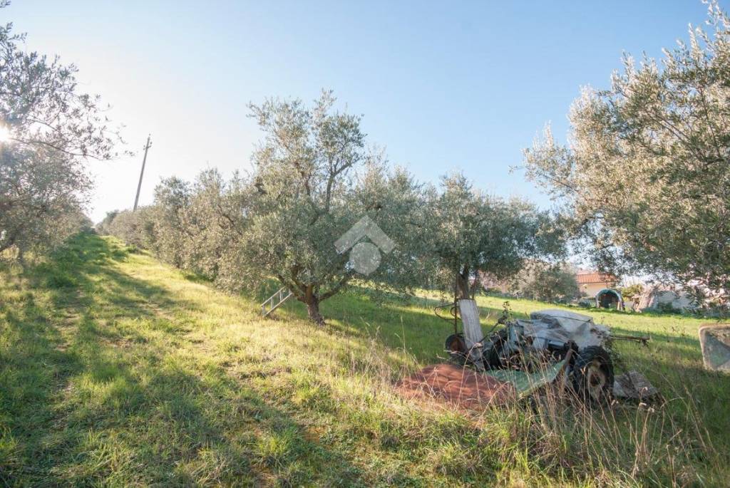 immagine annuncio 1 di 11