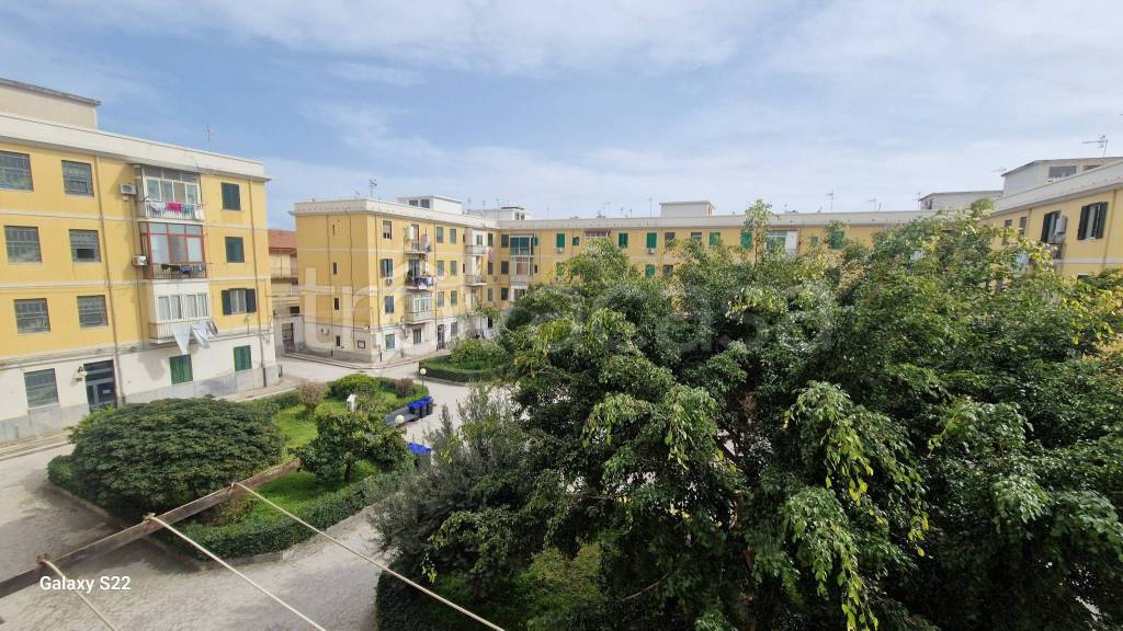 immagine annuncio 6 di 12